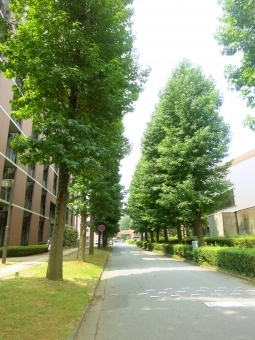 日本工学院専門学校テクノロジーカレッジ建築施工・土木コース